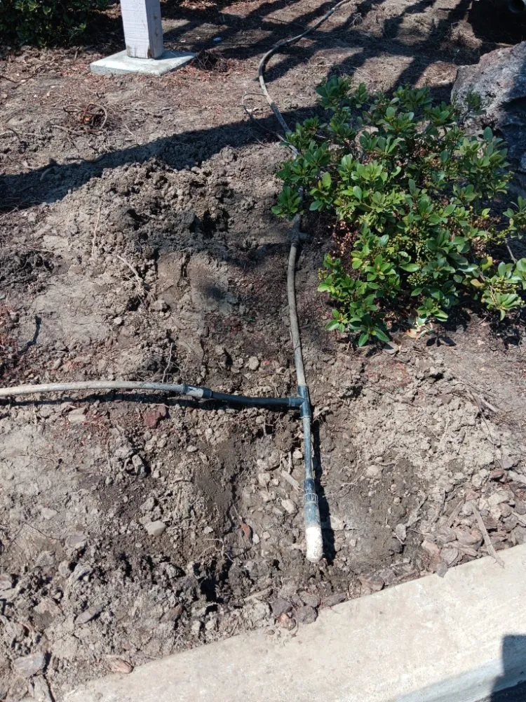 Affordable yard cleanup service experts serving Porterville, CA - RJ's Lawncare and Handyman service