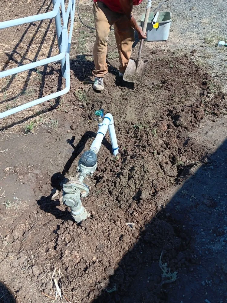 Local yard cleanup service experts serving Porterville, CA - RJ's Lawncare and Handyman service