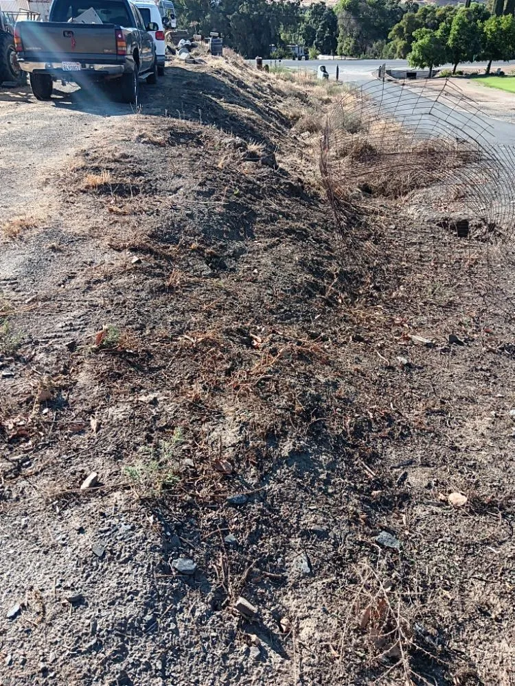 Expert yard cleanup service in Porterville, CA by RJ's Lawncare and Handyman service