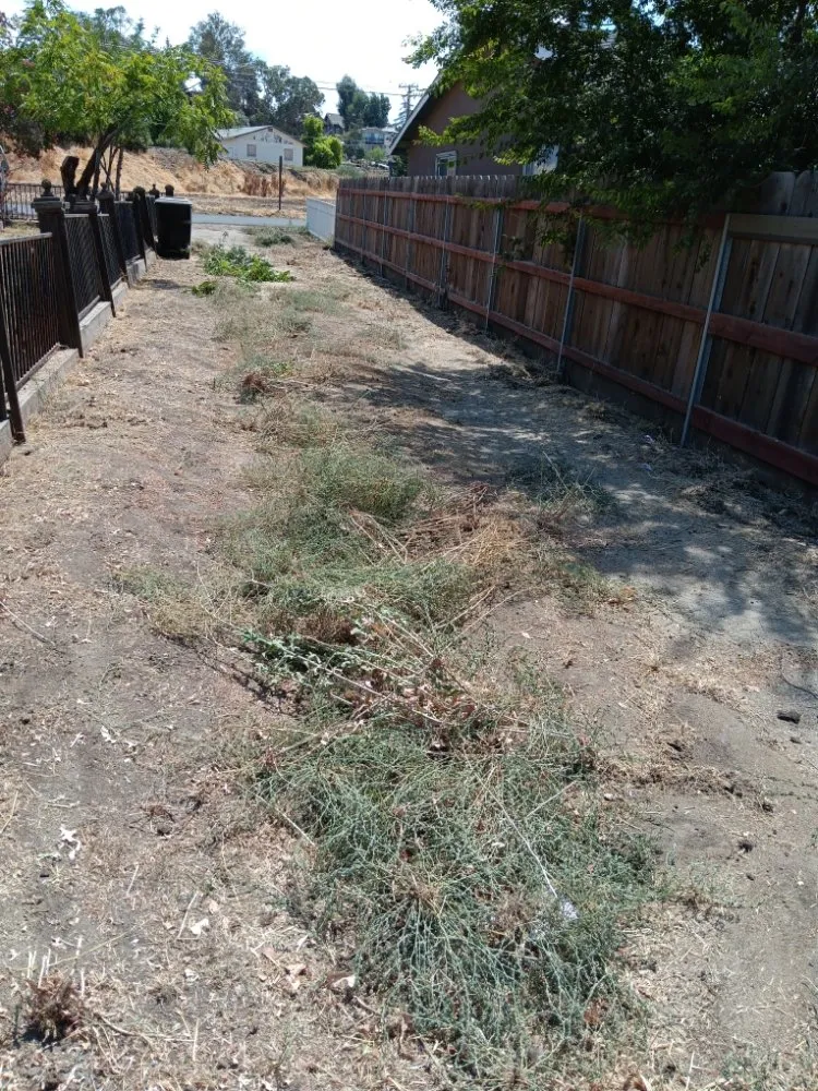 Affordable yard cleanup service with custom design across Porterville, CA - RJ's Lawncare and Handyman service