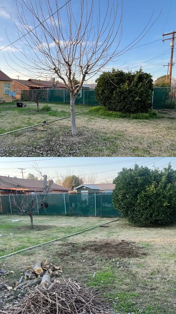 Local yard maintenance in Porterville, CA - RJ’s Lawncare
