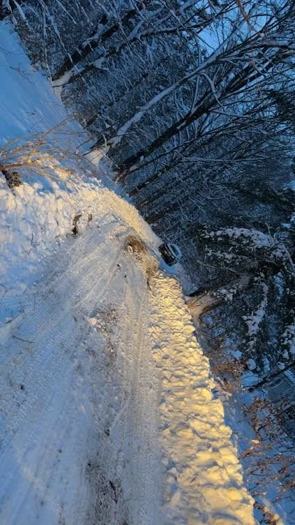 Professional yard maintenance experts serving Rome, NY - RJ's Seasonal Services