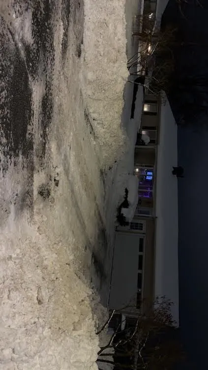 Trusted landscaping services in Rome, NY by RJ's Seasonal Services