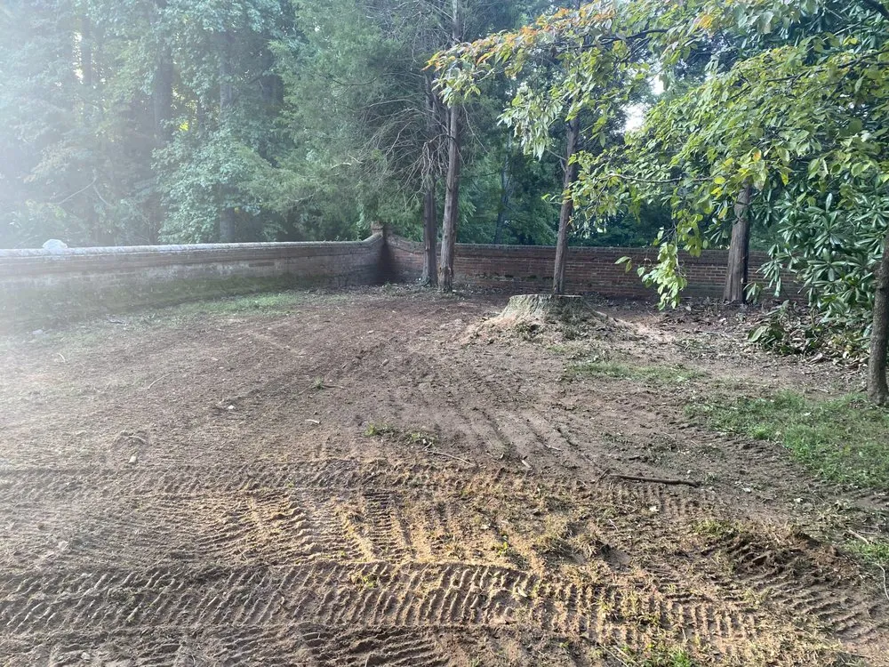 Reliable yard cleanup service in Hayes, VA by RJ'S TREE SERVICE