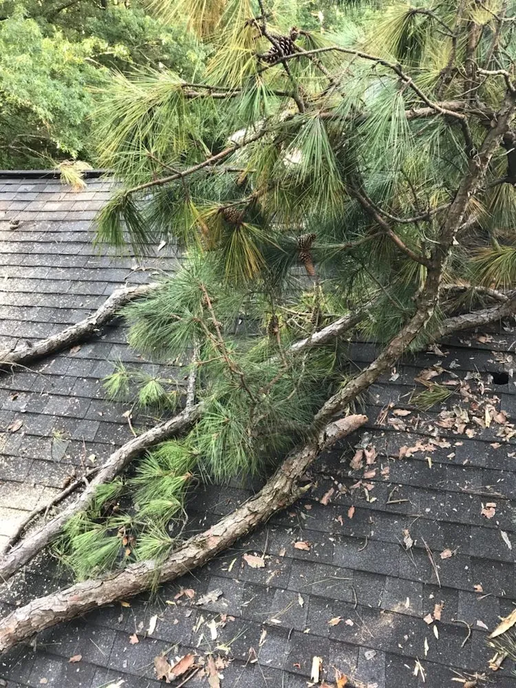 Custom outdoor landscaping for homes in Hayes, VA by RJ'S TREE SERVICE