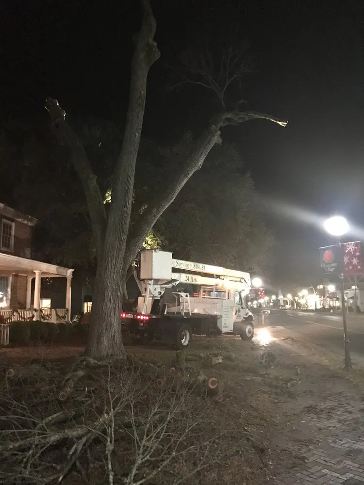 Custom landscape installation for year-round maintenance across Hayes, VA - RJ'S TREE SERVICE