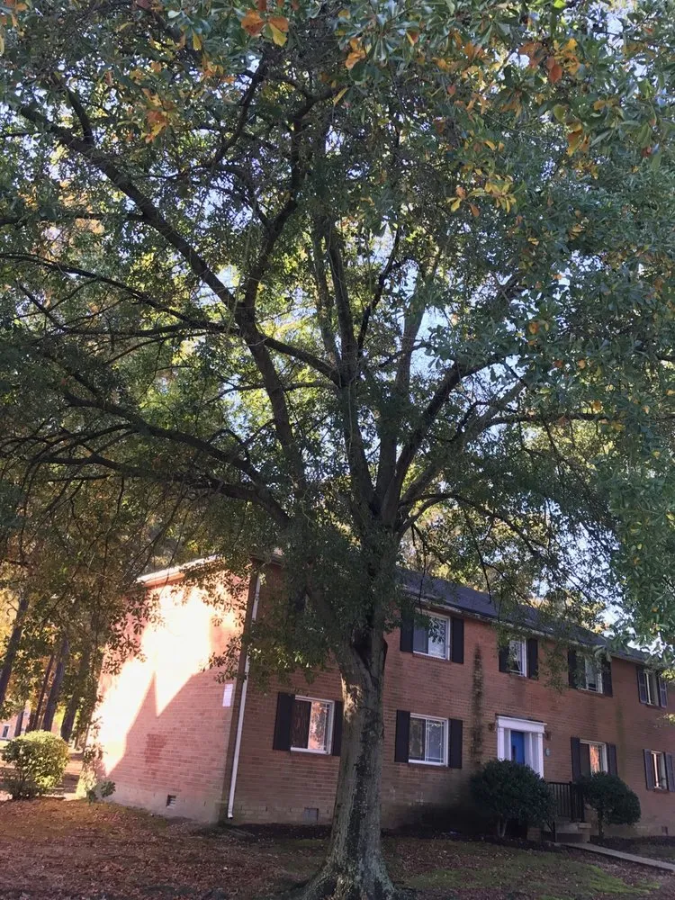 Local landscaping services near you in Hayes, VA by RJ'S TREE SERVICE