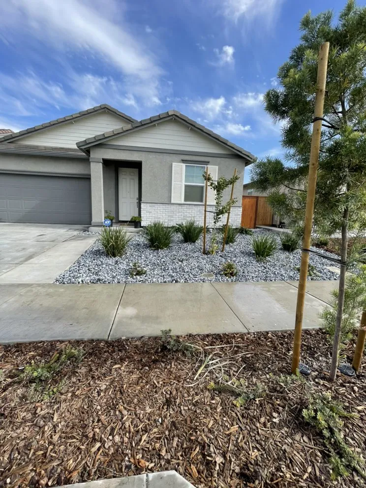 Top-rated yard cleanup service in Modesto, CA - RJT Construction and Landscaping