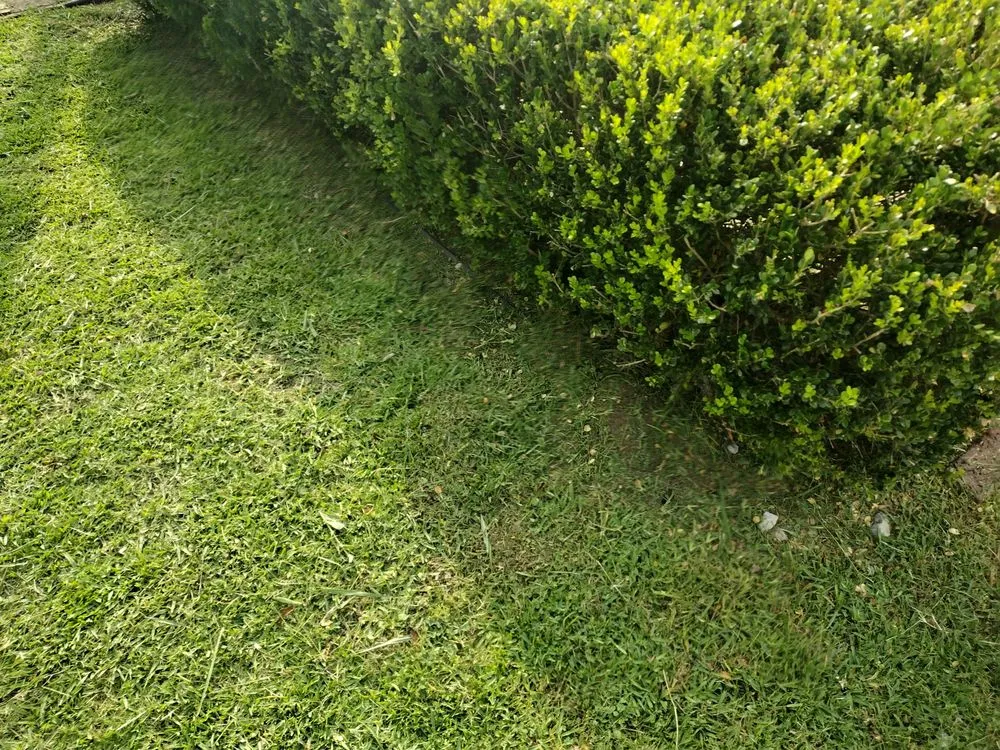 Custom lawn mowing service experts serving Clarksville, TX - RJT Landscaping Services
