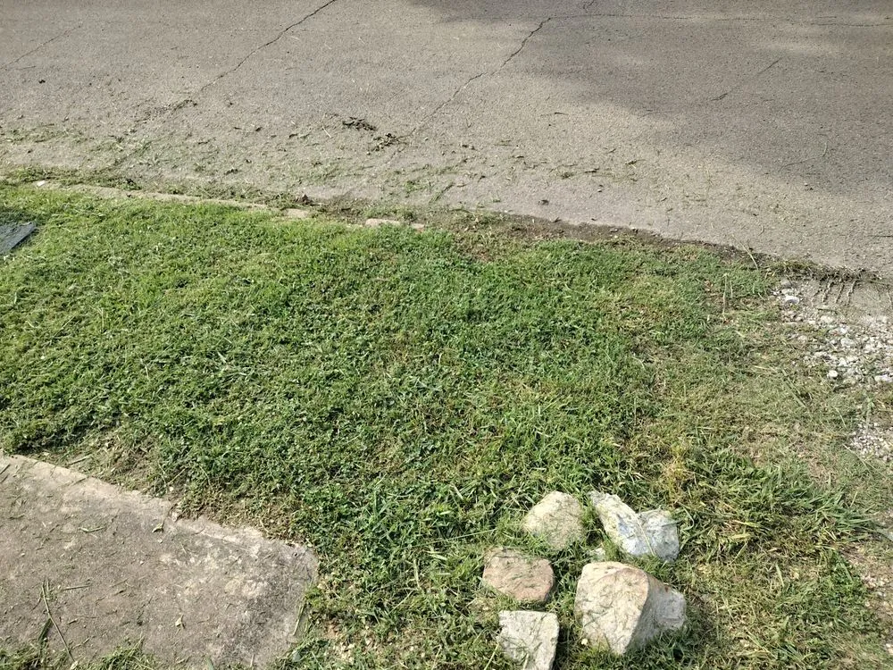 Affordable outdoor landscaping experts serving Clarksville, TX - RJT Landscaping Services