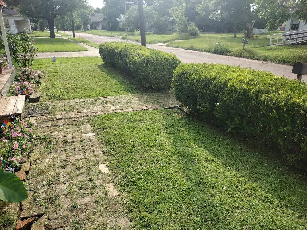 Reliable landscaping services experts serving Clarksville, TX - RJT Landscaping Services