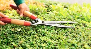 Trusted lawn care service in Youngwood, PA - R&K Complete Landscaping