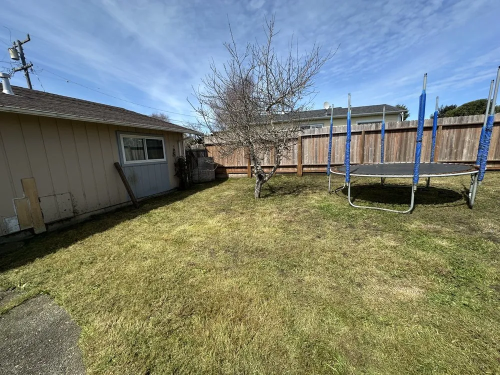 Top-rated yard cleanup service in Eureka, CA by RK landscaping