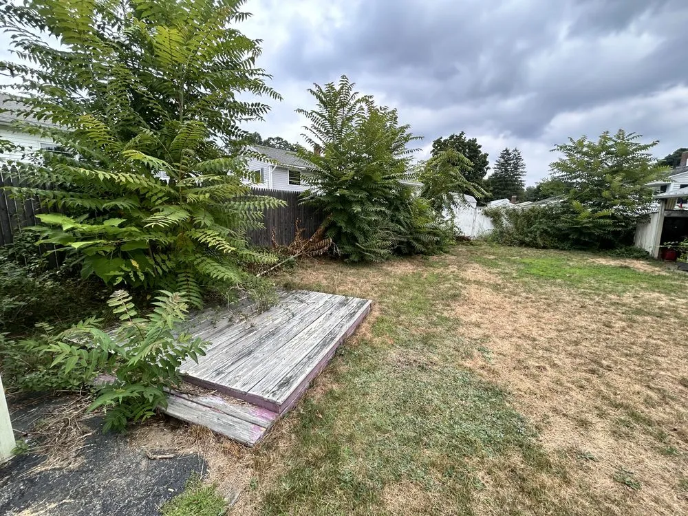 Trusted yard cleanup service for beautiful yards in Weare, NH by RK OutDoor Services