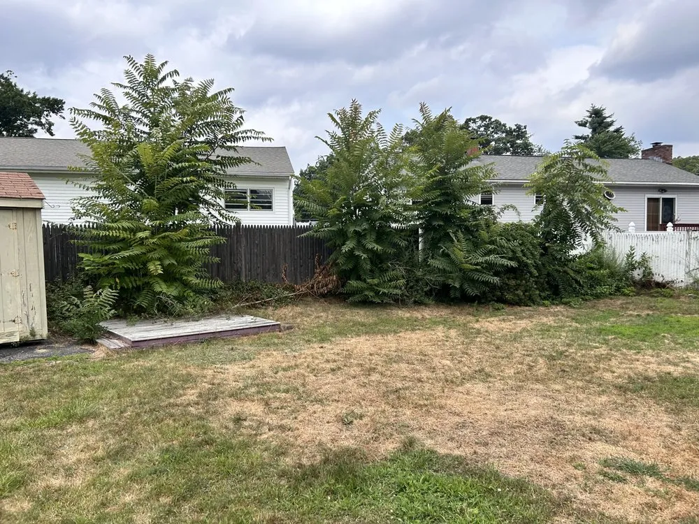 Reliable landscape design in Weare, NH - RK OutDoor Services