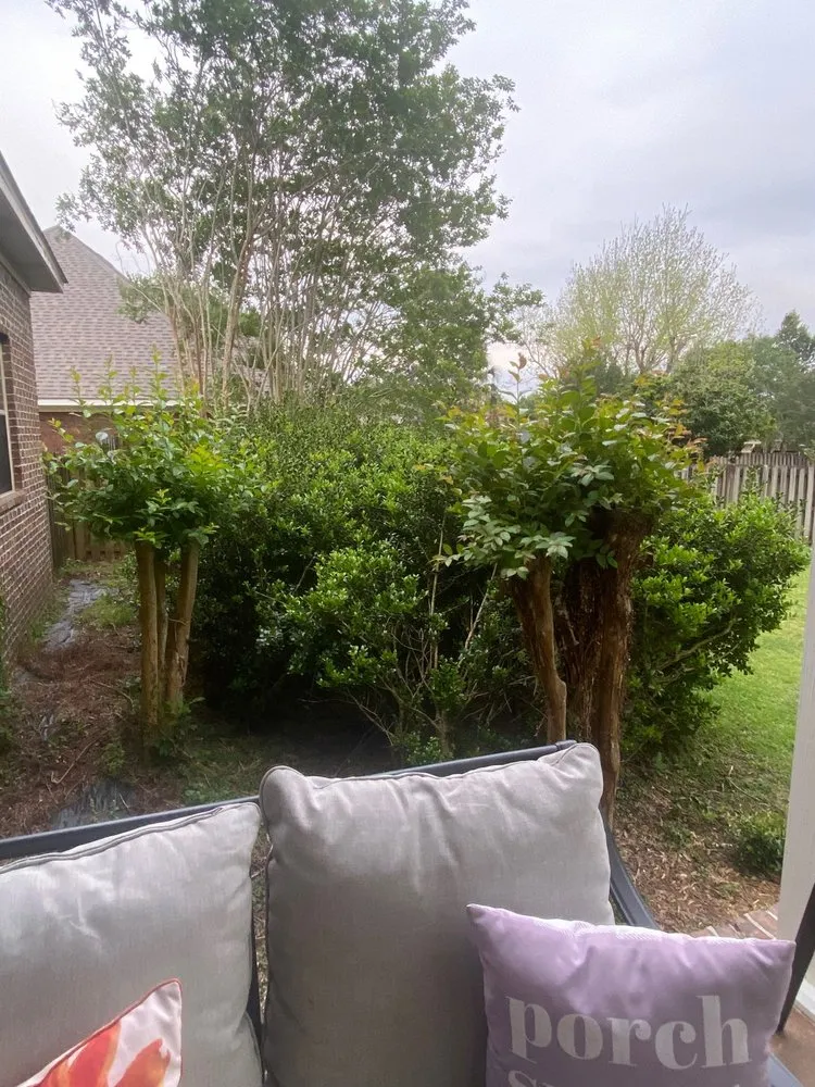 Trusted landscape installation for residential properties across Loxley, AL - R&K Tree & Landscaping