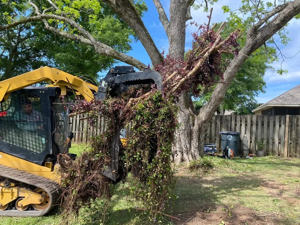 Affordable outdoor landscaping experts serving Loxley, AL - R&K Tree & Landscaping