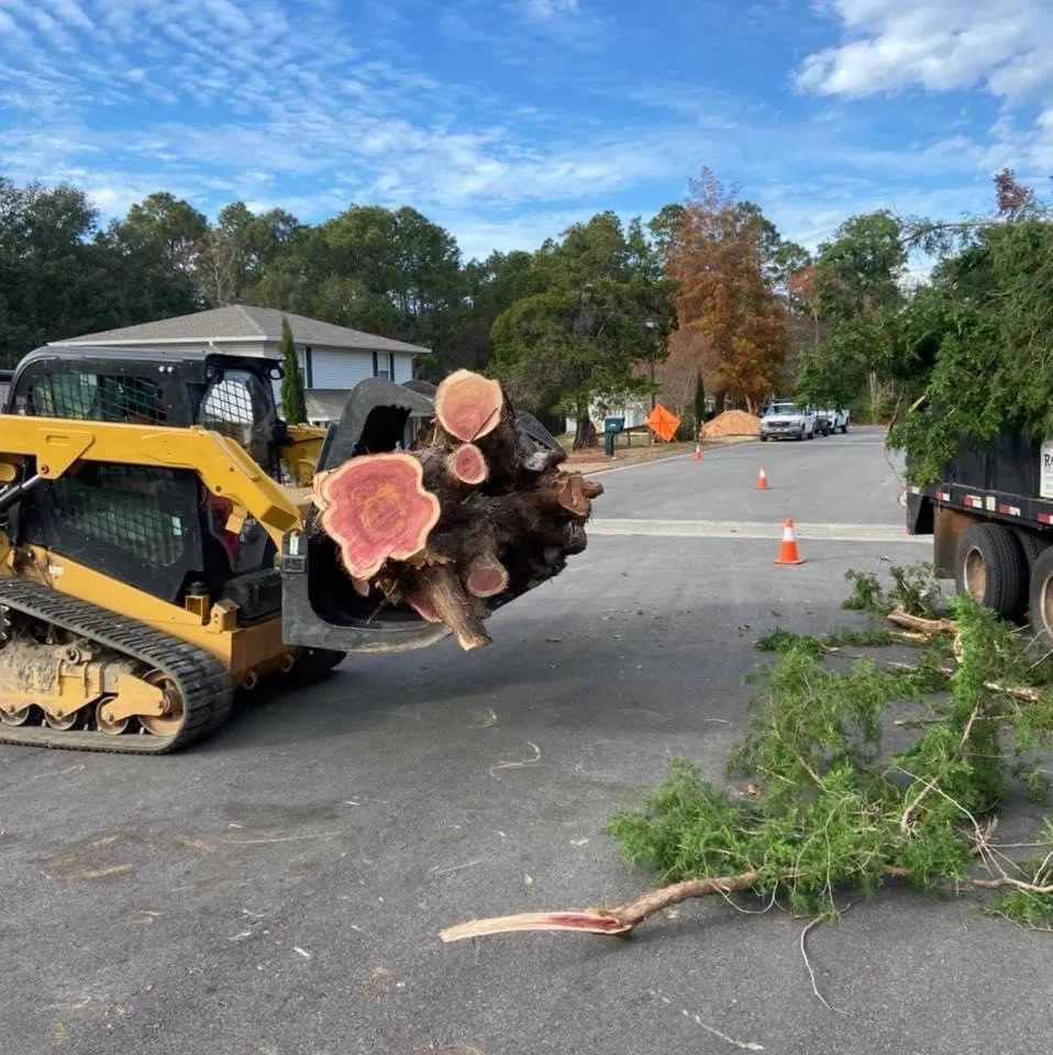 Local yard maintenance for homes in Loxley, AL by R&K Tree & Landscaping