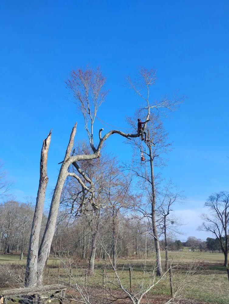 Top-rated lawn care service in Hiram, GA by RKC Tree And Landscape Services