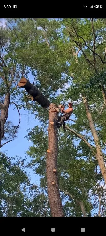 Affordable garden landscaping for residential properties across Hiram, GA - RKC Tree And Landscape Services