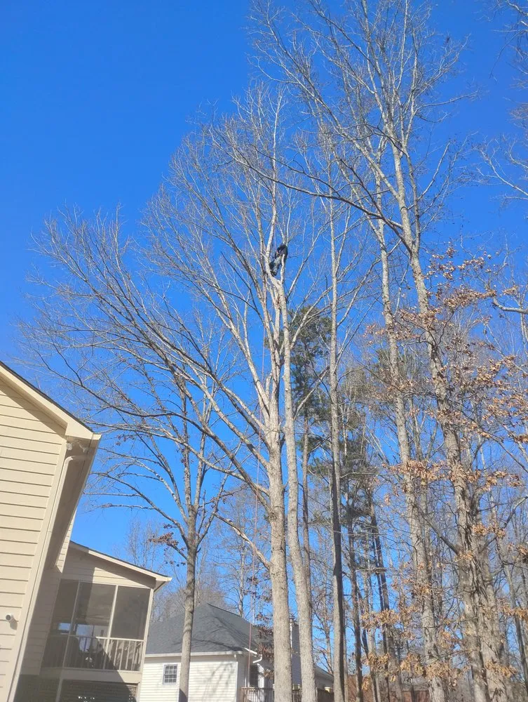 Affordable residential landscaping experts serving Hiram, GA - RKC Tree And Landscape Services