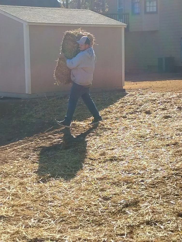 Local yard maintenance for year-round maintenance across Hiram, GA - RKC Tree And Landscape Services