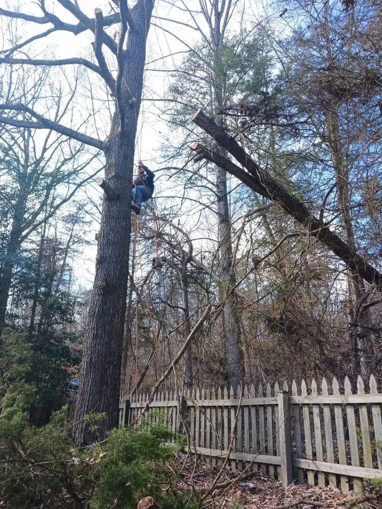 Reliable landscape design near you in Culpeper, VA by RKG Tree Service And Landscaping