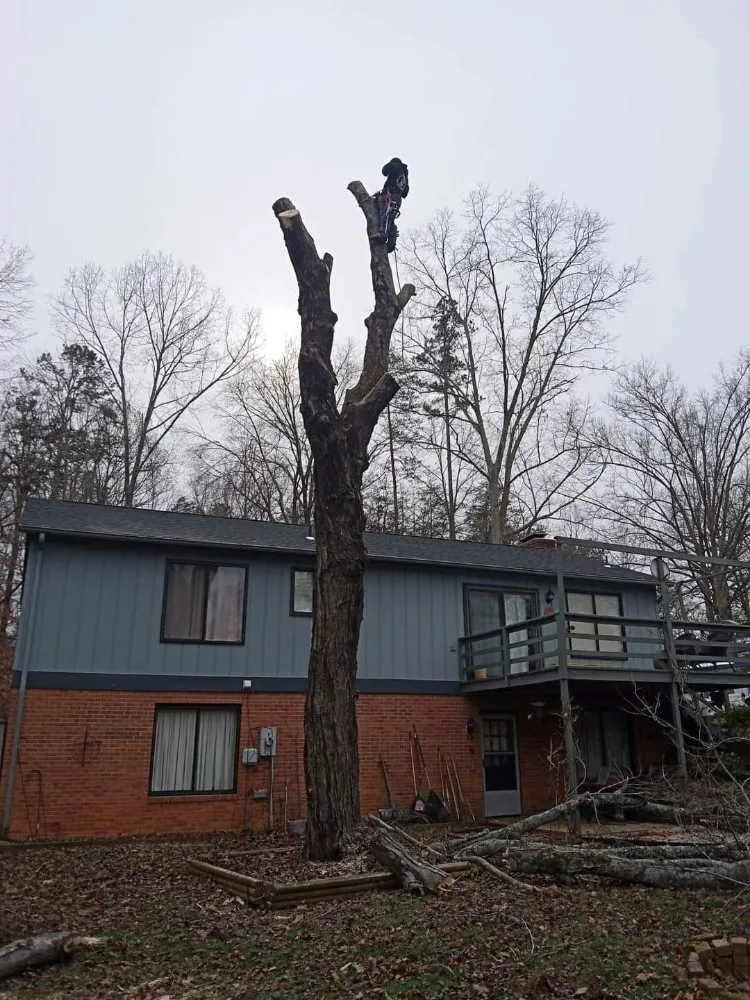 Custom yard maintenance experts serving Culpeper, VA - RKG Tree Service And Landscaping