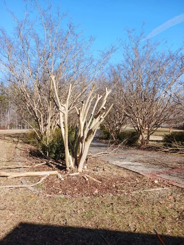 Trusted yard maintenance in Culpeper, VA by RKG Tree Service And Landscaping