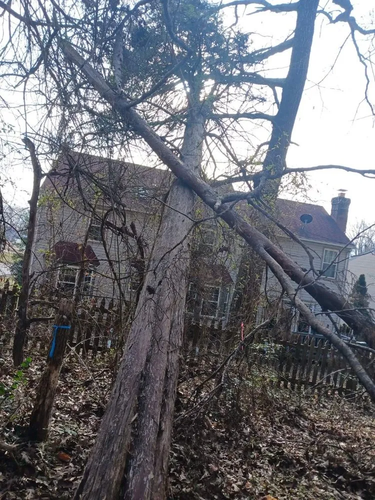 Affordable landscape installation with custom design in Culpeper, VA by RKG Tree Service And Landscaping