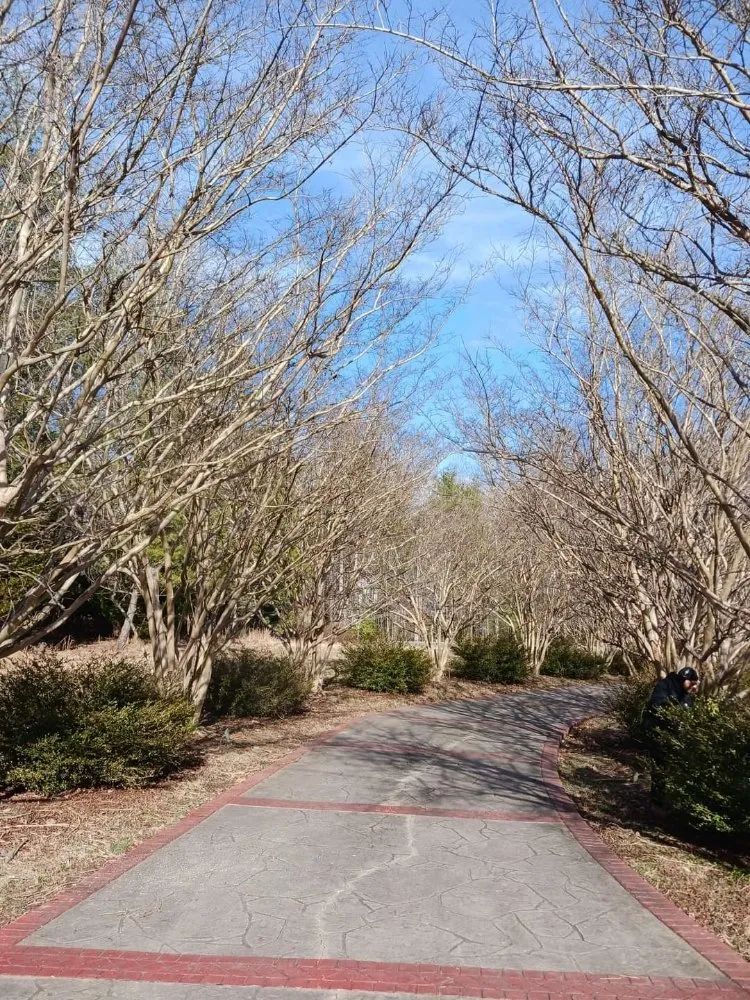 Custom yard maintenance for outdoor upgrades across Culpeper, VA - RKG Tree Service And Landscaping