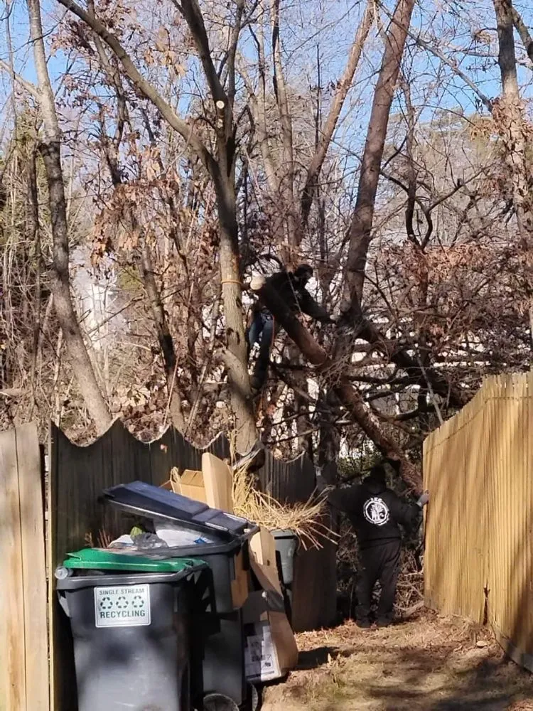 Custom landscape design for year-round maintenance in Culpeper, VA by RKG Tree Service And Landscaping