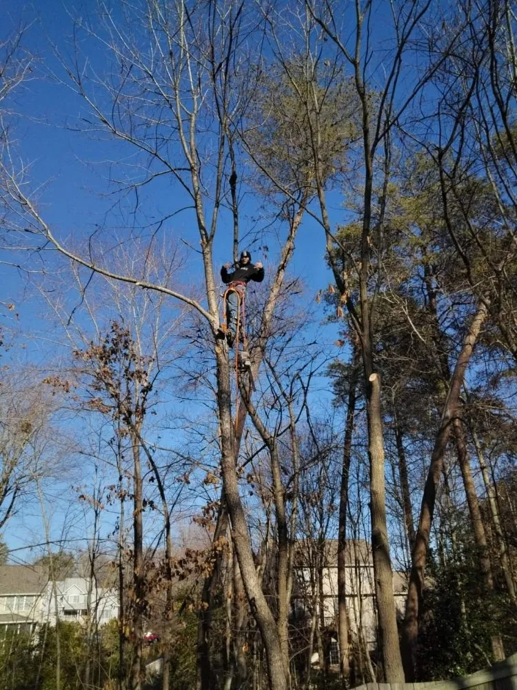 Local lawn care service near you in Culpeper, VA by RKG Tree Service And Landscaping