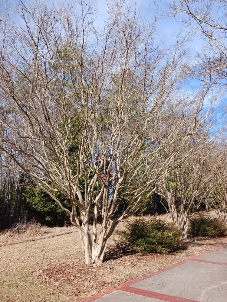 Trusted landscaping services experts serving Culpeper, VA - RKG Tree Service And Landscaping