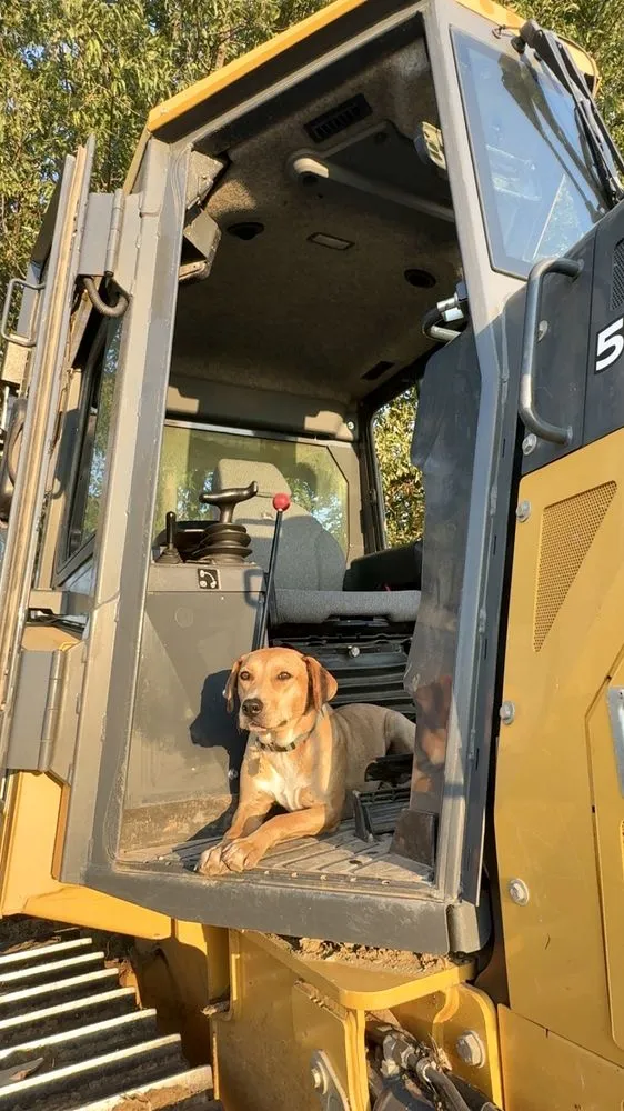 Reliable yard cleanup service in Springtown, TX by RKP Excavating