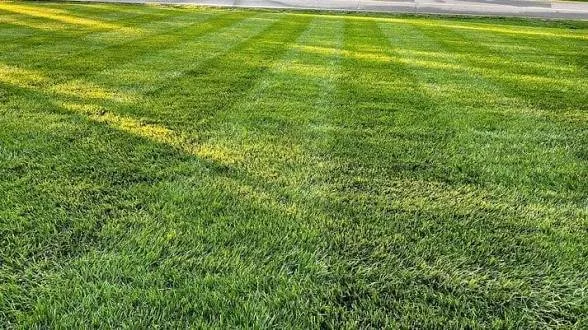 Top-rated lawn mowing service for residential properties in Judsonia, AR by RL Elite Lawn Services