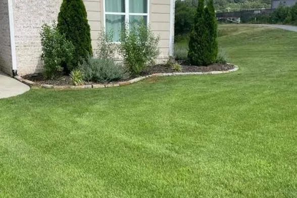 Affordable lawn care service in Judsonia, AR - RL Elite Lawn Services