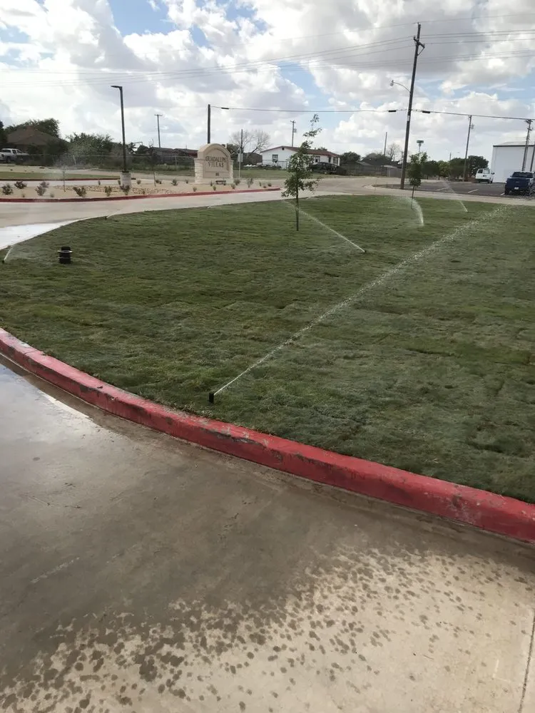 Top-rated yard maintenance for year-round maintenance in Wolfforth, TX by RL Landscape And Outdoor Solutions