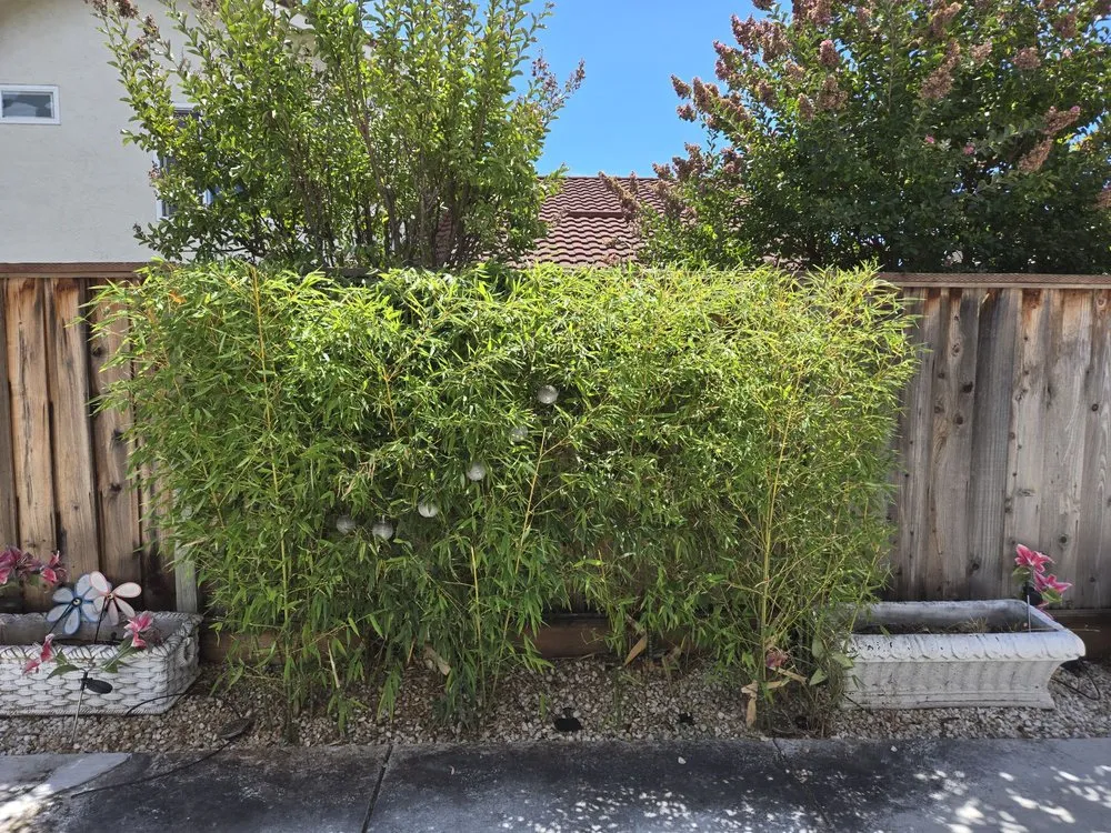 Trusted lawn care service in Redwood City, CA - RL Landscape