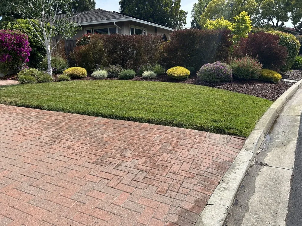 Affordable landscape installation for year-round maintenance in Redwood City, CA by RL Landscape