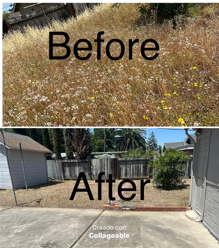 Reliable landscaping services in Redwood City, CA - RL Landscape