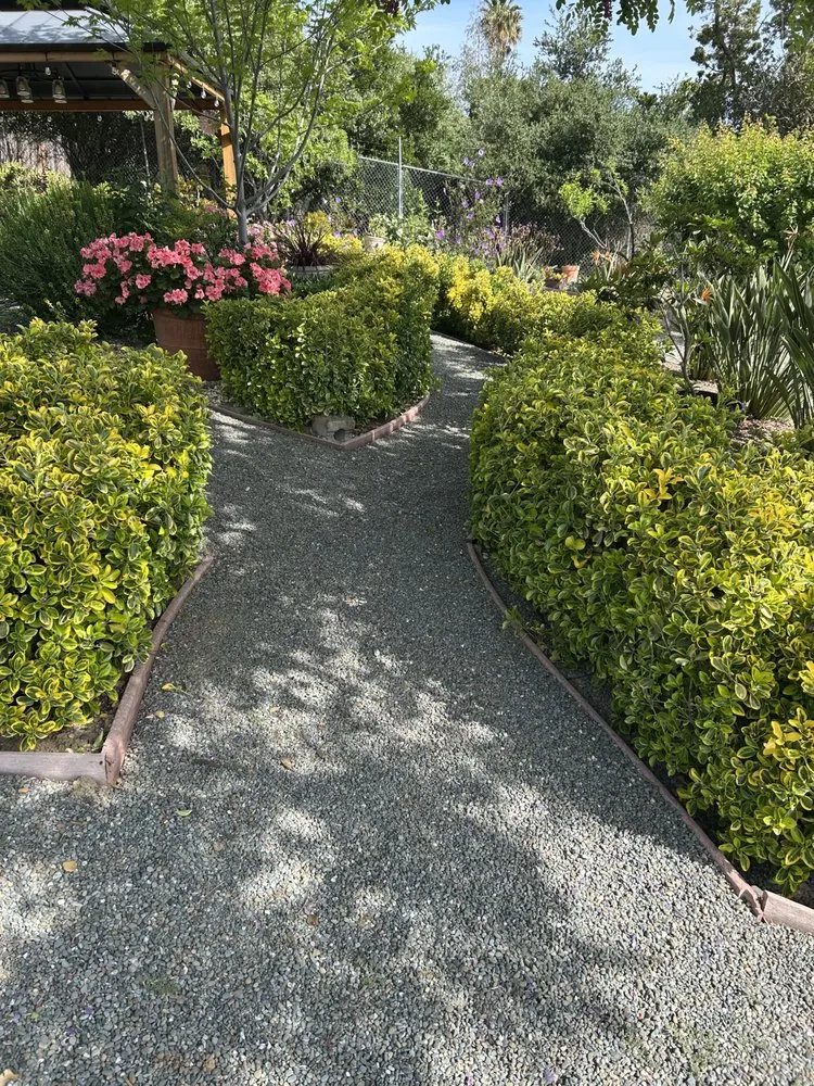 Trusted landscaping services for homes across Redwood City, CA - RL Landscape