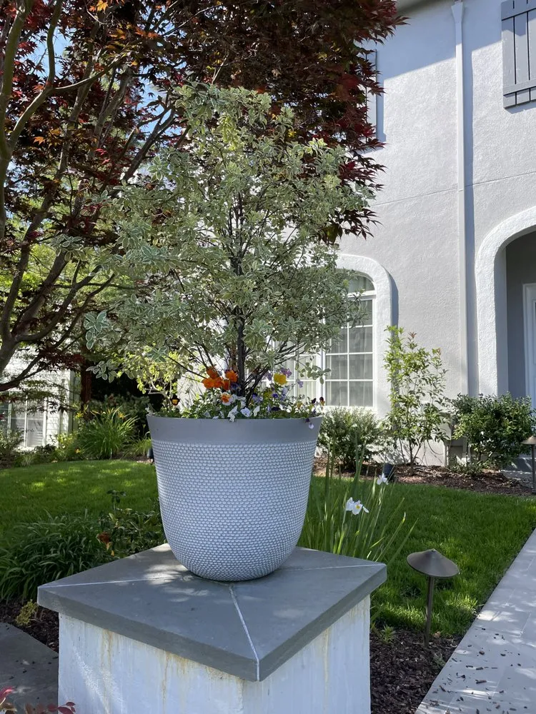Affordable landscaping services experts serving Redwood City, CA - RL Landscape