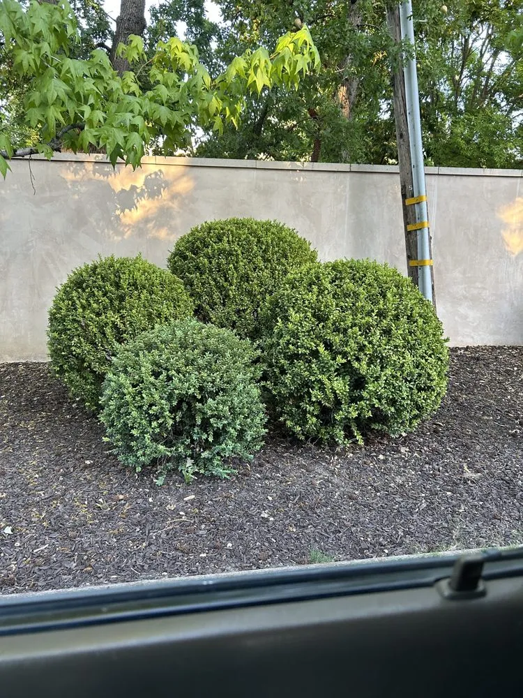 Reliable landscape installation in Redwood City, CA - RL Landscape