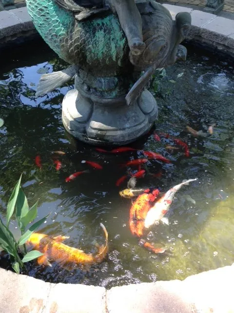 Reliable lawn mowing service in Macungie, PA by RL Landscaping and Design