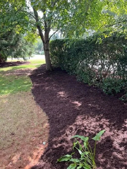 Trusted lawn care service for homes across Fountain Inn, SC - R&L Landscaping and Irrigation