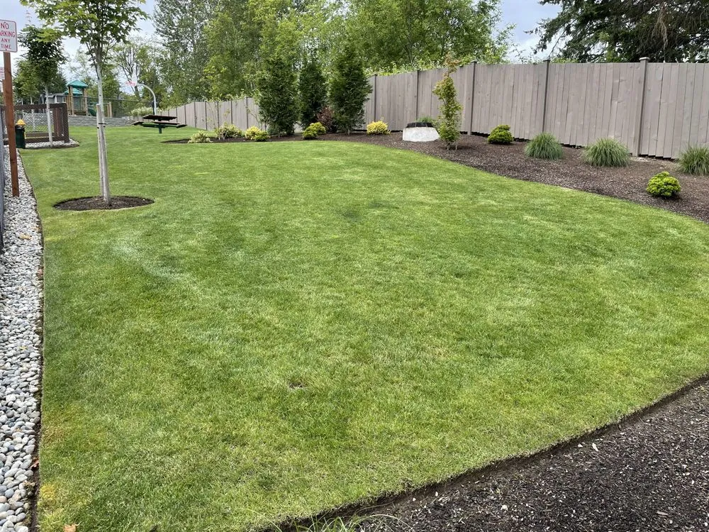 Professional yard cleanup service for outdoor upgrades in Auburn, WA by RL Landscaping