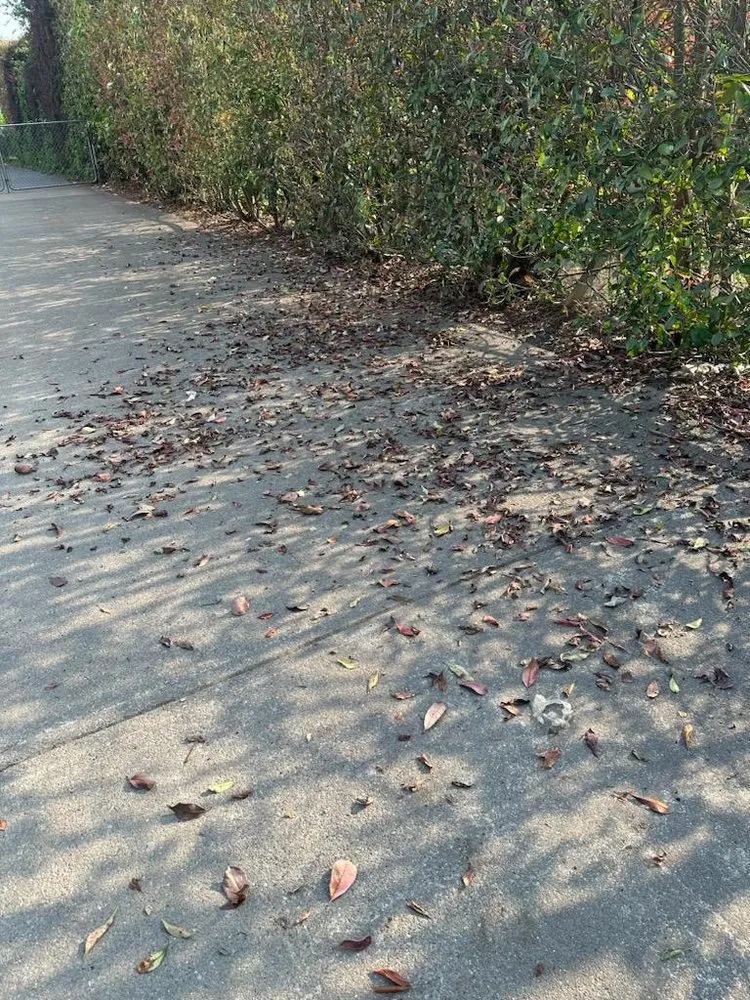 Professional residential landscaping experts serving Auburn, WA - RL Landscaping