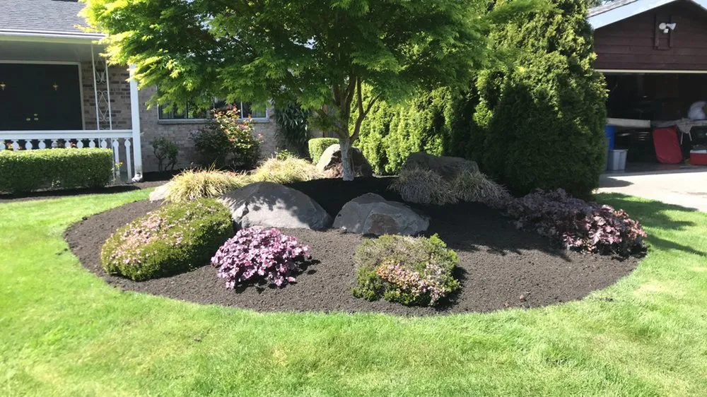 Trusted lawn care service for residential properties across Auburn, WA - RL Landscaping