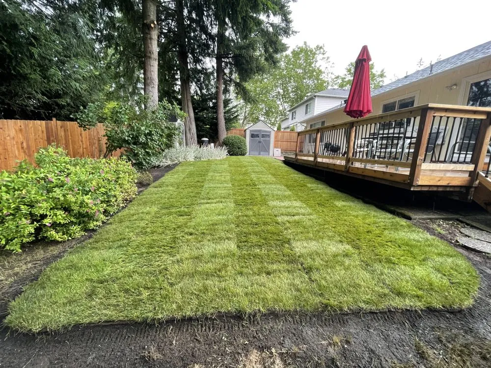Trusted yard cleanup service for beautiful yards across Auburn, WA - RL Landscaping